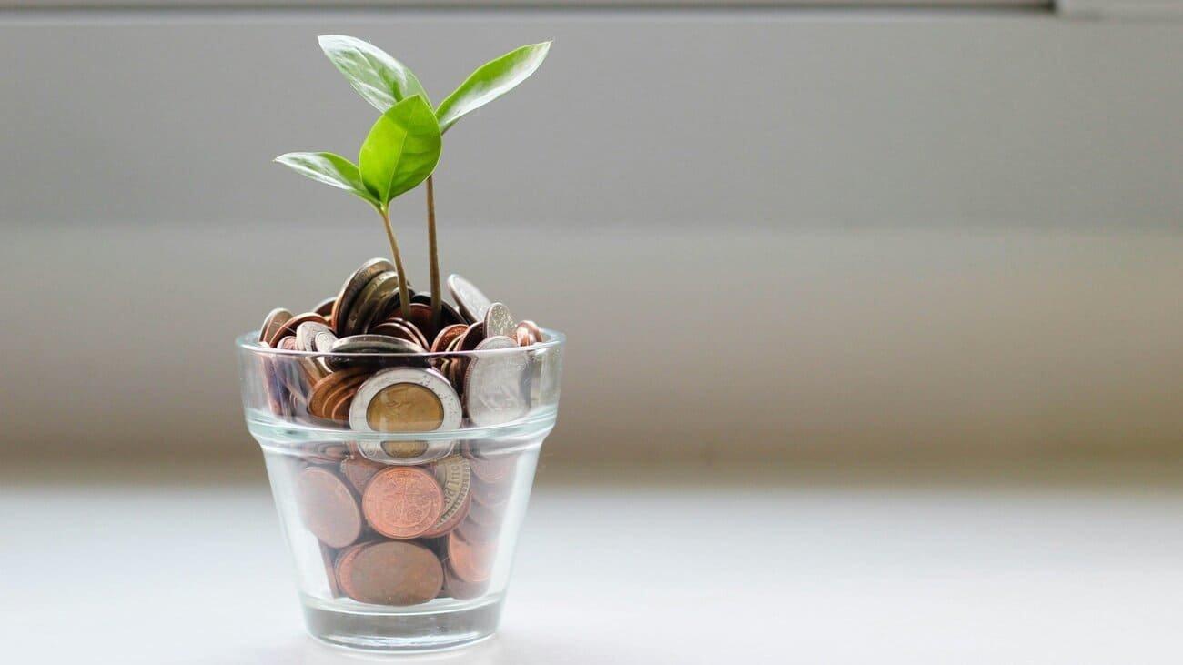 A small green plant growing out of a clear glass filled with assorted coins, symbolizing financial growth—much like understanding laser eye surgery cost when considering an investment in vision correction. The background is plain and softly lit.